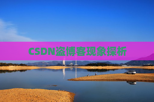 CSDN盗博客现象探析